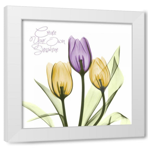 Purple Sunshine Tulips White Modern Wood Framed Art Print by Koetsier, Albert