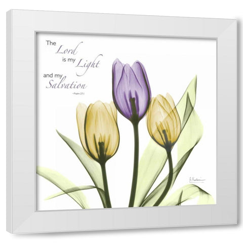 Tulips Salvation White Modern Wood Framed Art Print by Koetsier, Albert