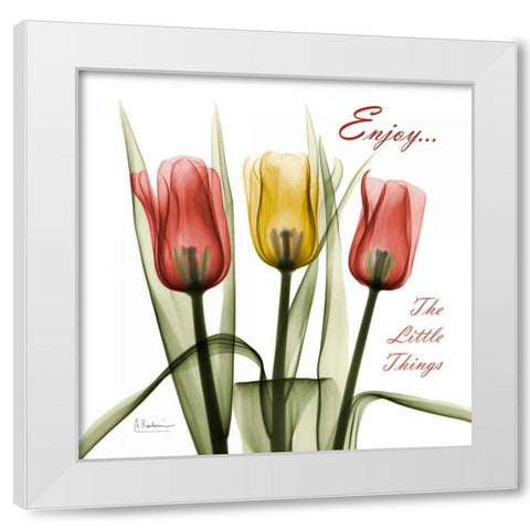 Tulips Enjoy The Little Things White Modern Wood Framed Art Print by Koetsier, Albert