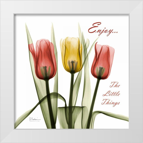 Tulips Enjoy The Little Things White Modern Wood Framed Art Print by Koetsier, Albert