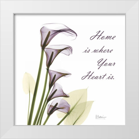 Calla Lilies Home White Modern Wood Framed Art Print by Koetsier, Albert