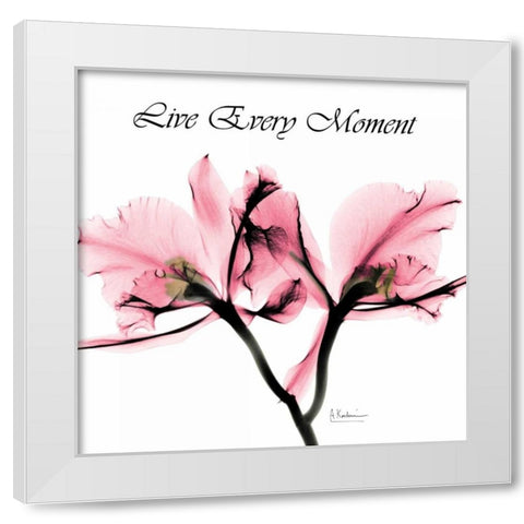 Moment Orchid White Modern Wood Framed Art Print by Koetsier, Albert