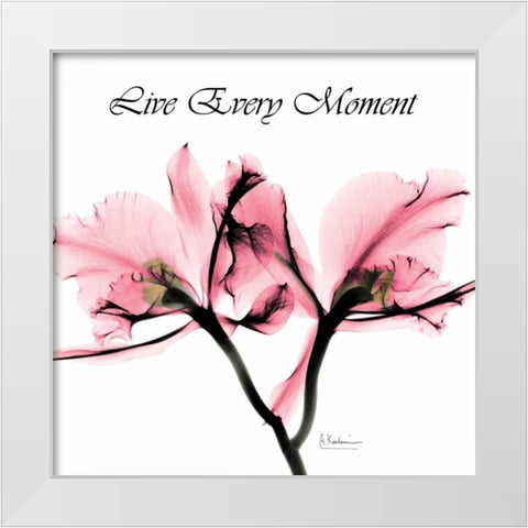 Moment Orchid White Modern Wood Framed Art Print by Koetsier, Albert