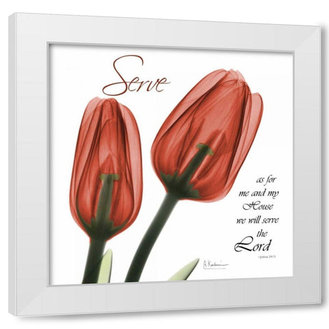 House Tulips White Modern Wood Framed Art Print by Koetsier, Albert