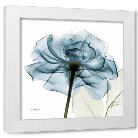 Teal Rose White Modern Wood Framed Art Print by Koetsier, Albert