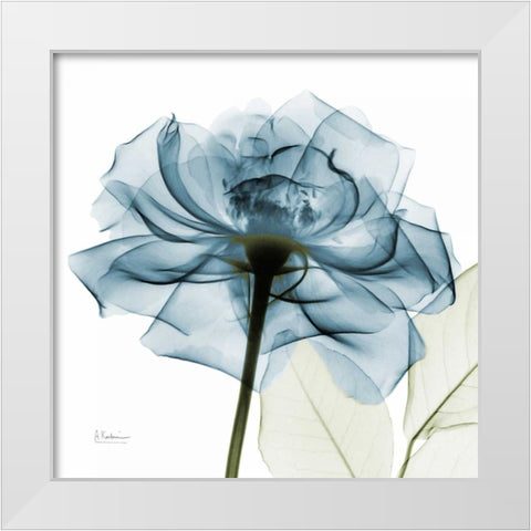 Teal Rose White Modern Wood Framed Art Print by Koetsier, Albert