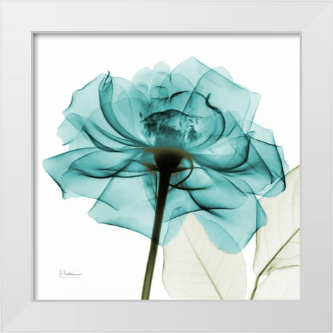 Teal Rose White Modern Wood Framed Art Print by Koetsier, Albert