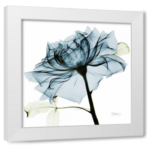 Teal Rose 2 White Modern Wood Framed Art Print by Koetsier, Albert