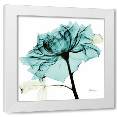 Teal Rose 2 White Modern Wood Framed Art Print by Koetsier, Albert