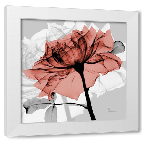 Rose on Gray 2 White Modern Wood Framed Art Print by Koetsier, Albert