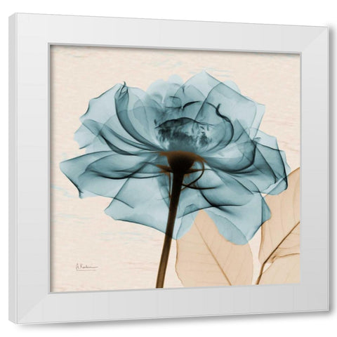 Teal Rose White Modern Wood Framed Art Print by Koetsier, Albert