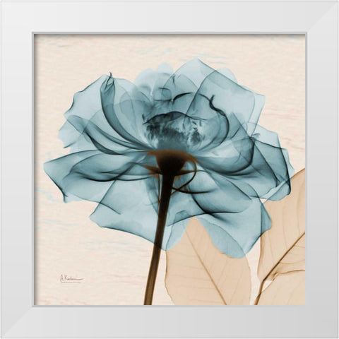 Teal Rose White Modern Wood Framed Art Print by Koetsier, Albert