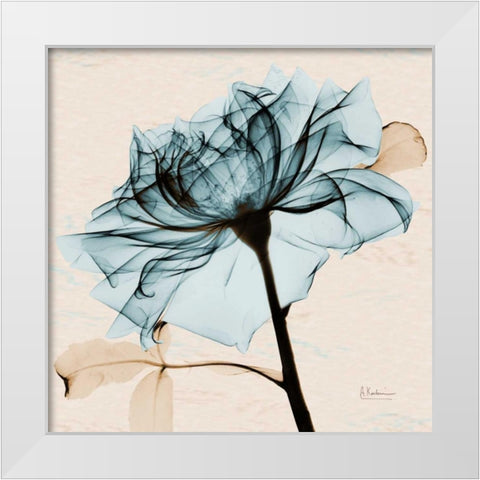 Teal Rose 2 White Modern Wood Framed Art Print by Koetsier, Albert