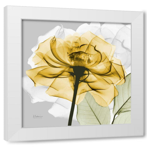 Rose in Gold 4 White Modern Wood Framed Art Print by Koetsier, Albert