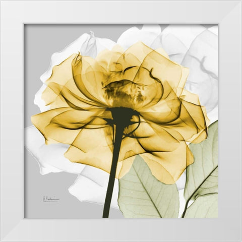 Rose in Gold 4 White Modern Wood Framed Art Print by Koetsier, Albert