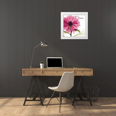 Pink Chrysanthemum Dream White Modern Wood Framed Art Print by Koetsier, Albert