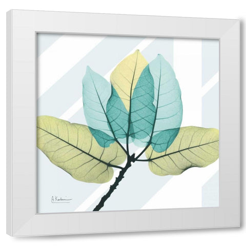 Transitional Ficus Burkey White Modern Wood Framed Art Print by Koetsier, Albert