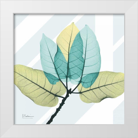 Transitional Ficus Burkey White Modern Wood Framed Art Print by Koetsier, Albert