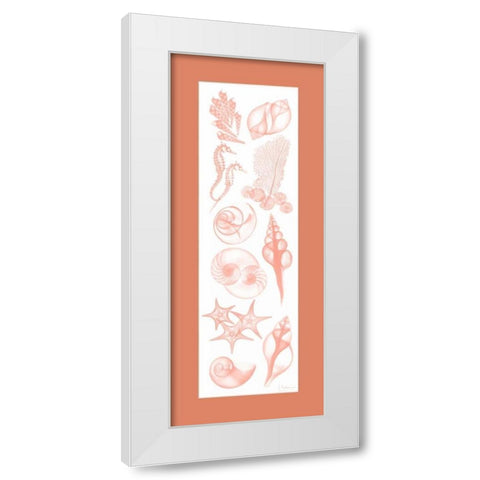 Sealife Coral Matte White Modern Wood Framed Art Print by Koetsier, Albert