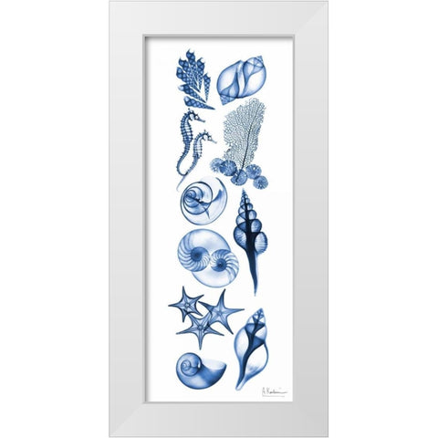 Sealife Blue White Modern Wood Framed Art Print by Koetsier, Albert