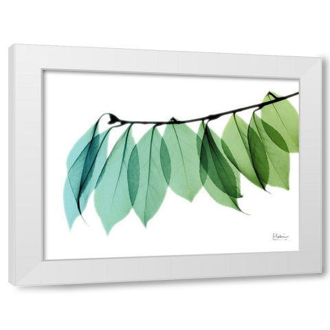 Camelia Leaf II White Modern Wood Framed Art Print by Koetsier, Albert