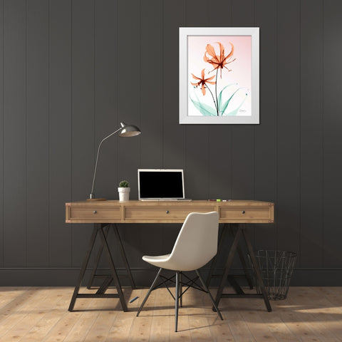 Gloriosa Lily Corals White Modern Wood Framed Art Print by Koetsier, Albert