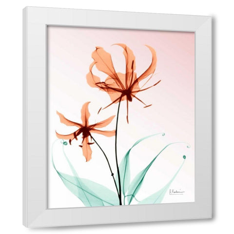 Gloriosa Lily Corals White Modern Wood Framed Art Print by Koetsier, Albert