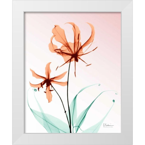 Gloriosa Lily Corals White Modern Wood Framed Art Print by Koetsier, Albert