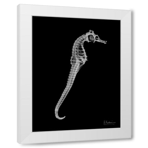 Seahorse In The Black White Modern Wood Framed Art Print by Koetsier, Albert