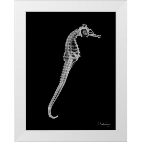 Seahorse In The Black White Modern Wood Framed Art Print by Koetsier, Albert