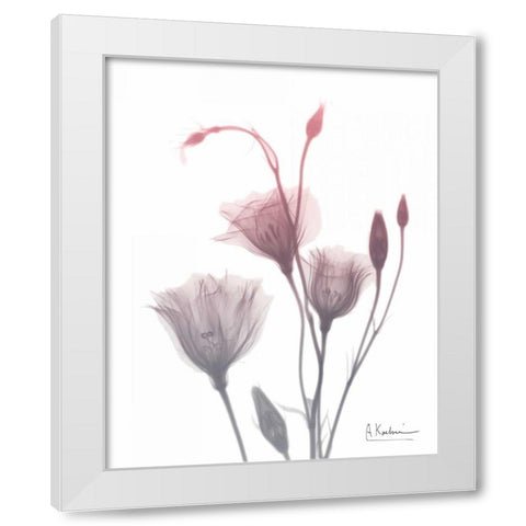 GentianB9 Pink White Modern Wood Framed Art Print by Koetsier, Albert