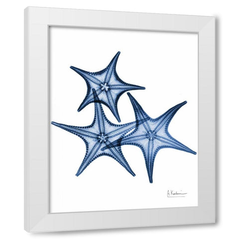 Blue Trio Starfish White Modern Wood Framed Art Print by Koetsier, Albert
