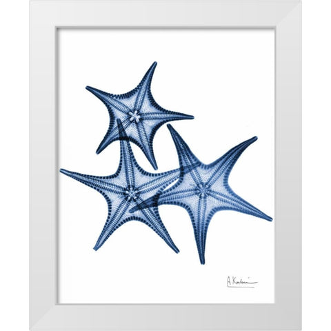 Blue Trio Starfish White Modern Wood Framed Art Print by Koetsier, Albert