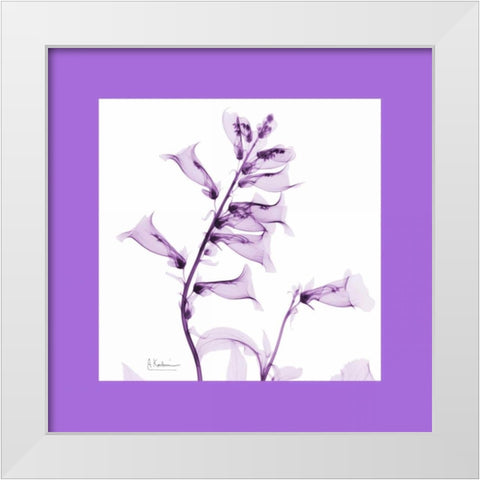 Foxglove  Bordered White Modern Wood Framed Art Print by Koetsier, Albert