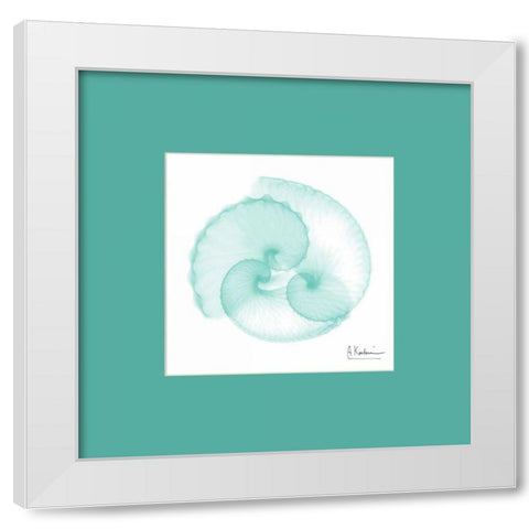 Argonaut Seafoam Matte White Modern Wood Framed Art Print by Koetsier, Albert