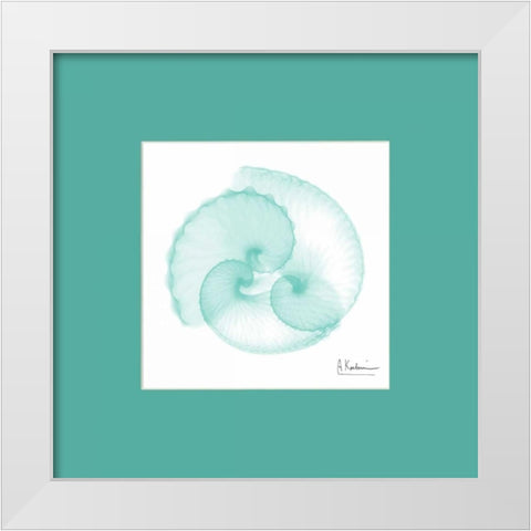 Argonaut Seafoam Matte White Modern Wood Framed Art Print by Koetsier, Albert