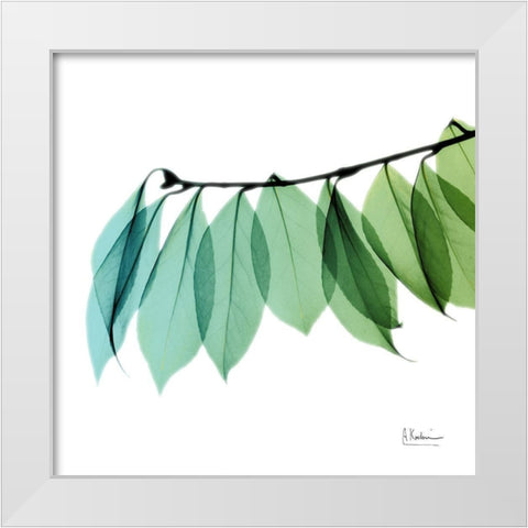 Camelia Leaf White Modern Wood Framed Art Print by Koetsier, Albert