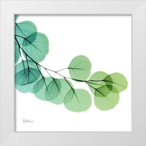 Eucalyptus Green White Modern Wood Framed Art Print by Koetsier, Albert