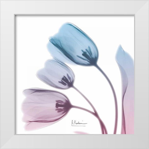 Soft Tulips Rose Serenity White Modern Wood Framed Art Print by Koetsier, Albert