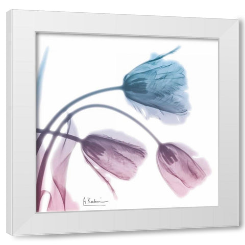 Tulips Rose Serenity White Modern Wood Framed Art Print by Koetsier, Albert