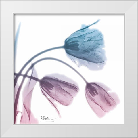 Tulips Rose Serenity White Modern Wood Framed Art Print by Koetsier, Albert