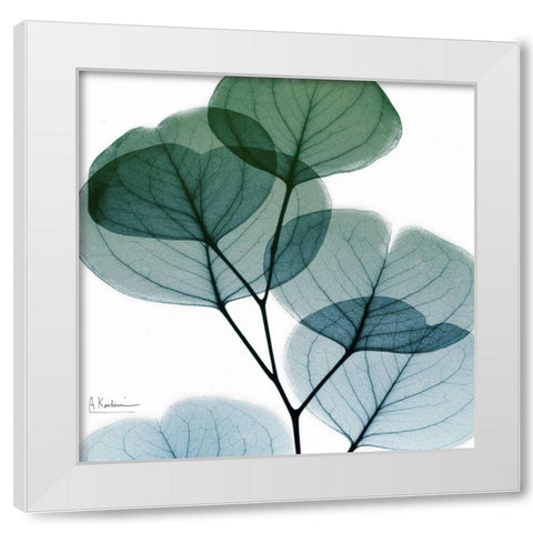 Dull Eucalyptus Mate White Modern Wood Framed Art Print by Koetsier, Albert