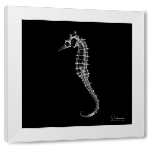 Seahorse In The Dark White Modern Wood Framed Art Print by Koetsier, Albert
