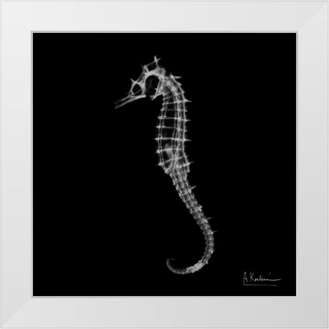 Seahorse In The Dark White Modern Wood Framed Art Print by Koetsier, Albert