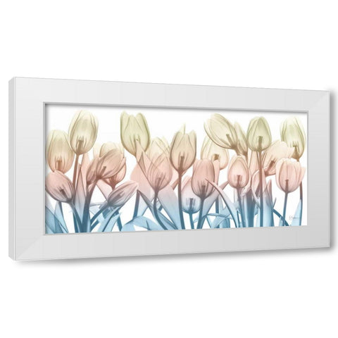 Spring Blooms White Modern Wood Framed Art Print by Koetsier, Albert