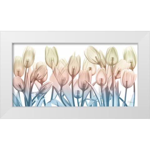 Spring Blooms White Modern Wood Framed Art Print by Koetsier, Albert