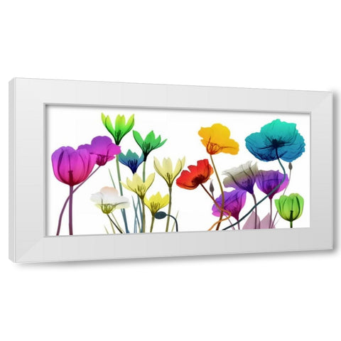 Floral Calm Pop White Modern Wood Framed Art Print by Koetsier, Albert