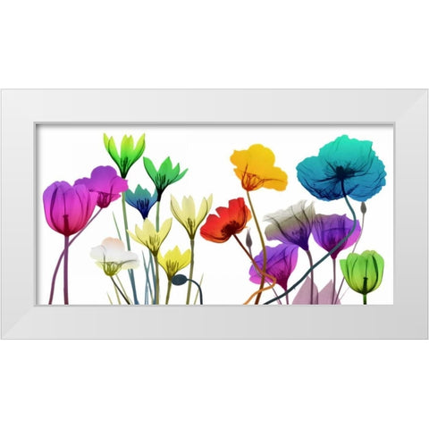 Floral Calm Pop White Modern Wood Framed Art Print by Koetsier, Albert