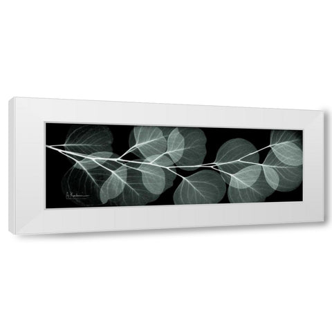 Eucalyptus Night 2 White Modern Wood Framed Art Print by Koetsier, Albert