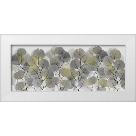 Thru The Brush White Modern Wood Framed Art Print by Koetsier, Albert